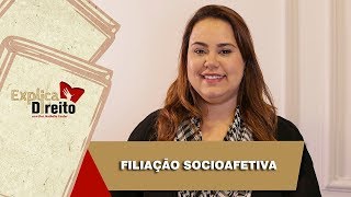 Explica Direito Filiação Socioafetiva  2019 [upl. by Eliezer]