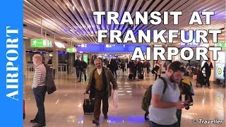 TRANSIT WALK AT FRANKFURT Airport FRA Terminal 1  Connection Flight Transfer Arriving amp Departing [upl. by Ashleigh378]